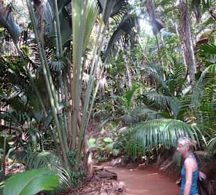 Ausflug/Vallée de Mai