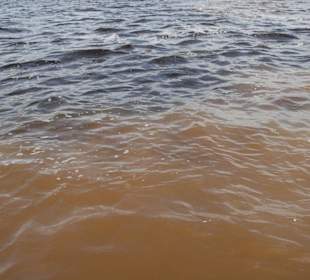Meeting of the Waters, Amazonas Rio Negro