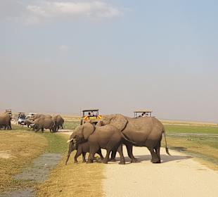 Amboseli Nationalpark