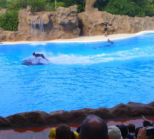 Ausflüge. Loro Park