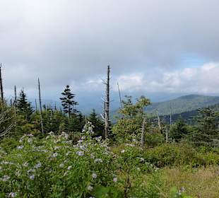 Clingman's Dome