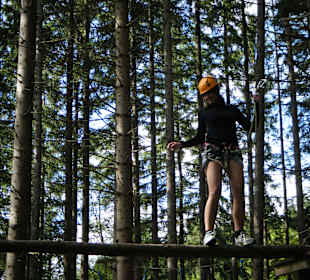 Blauer Parcour, Balancebalken