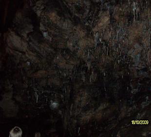 Innenansicht Höhle 10