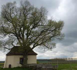 Bei der Gertraudis-Kapelle bei Gerolzhofen