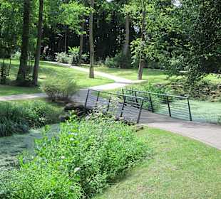 Der Schwanenweiher