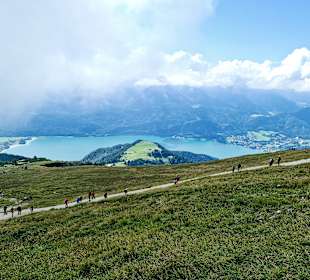 Schafbergbahn