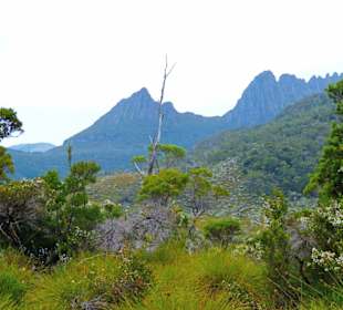 Cradle Mountain-Lake St.Clair NP - Cradle Mountain