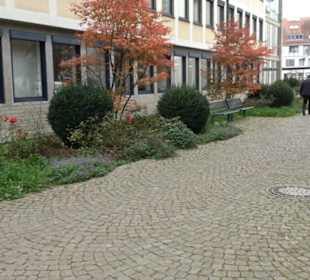 Rathaus Friedrichshafen