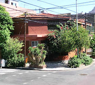 Viel grün in der Stadt