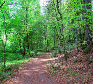 Wanderung zum Bärenfels
