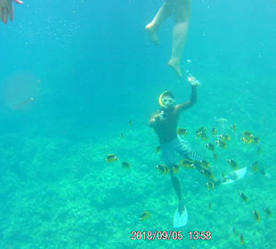 Schnorchelgang mit Guide