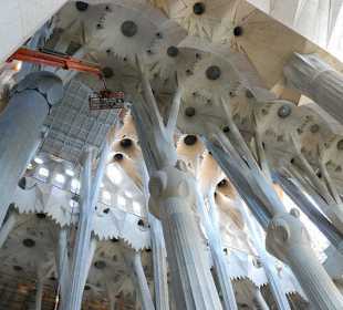 Viaje en julio a barcelona