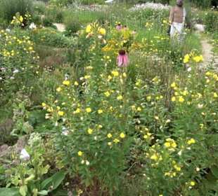 ALB-GOLD Naturgarten