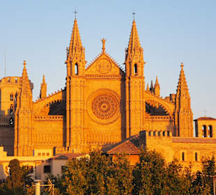 Kathedrale La Seu