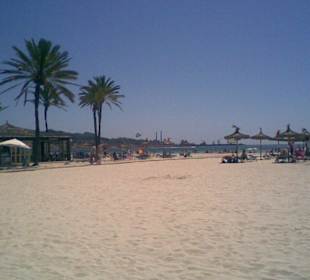 Strand Alcudia
