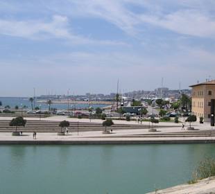 Ausblick von Kathedrale auf den Hafen von Palma