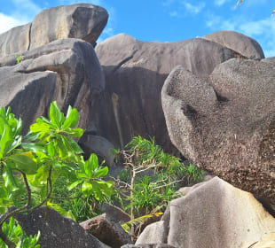 L'Union Estate Naturschutzpark
