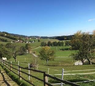 Lippizanergestüt Piber