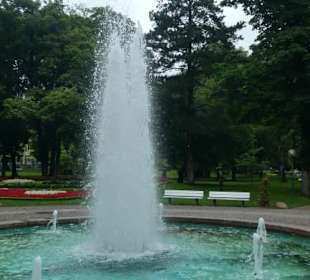 Unterwegs im Kurpark von Bad Mergentheim