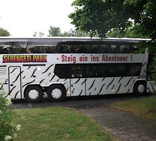 Einer der Safari-Busse