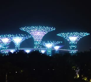 Super Trees bei Nacht 