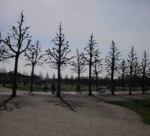 Schlossgarten Schwetzingen