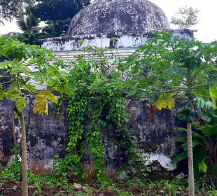 Stadtrundgang Bububu