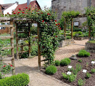 Rundgang durch den Bibelgarten