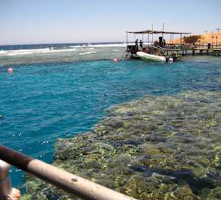 Blick zur Taucherplattform