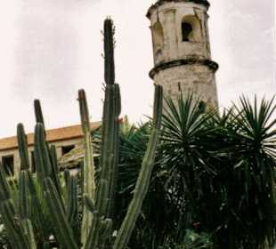 Trinidad