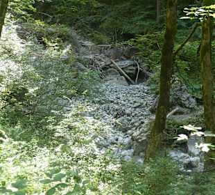 Bei einem Spaziergang im Oytal bei Oberstdorf