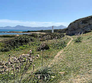 Wandern Can Picafort