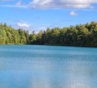 Lac Pink