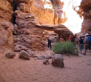 Arches