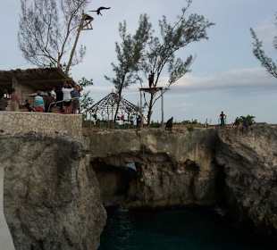 Klippenspringer bei Rick's Café