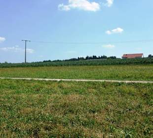 Rad-/Wanderwege entlang am See