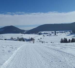Dorf Herrenschwand, hat nur das Restaurant Waldfrieden