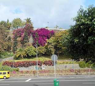 Parque de Santa Catarina