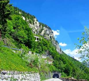 Plöckenpass 2010 die ganze Strecke