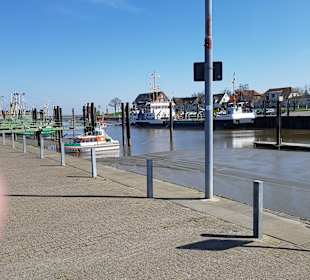 Radtour Butjadingen-Tossens