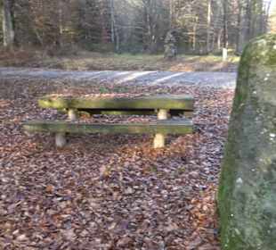 Alter Abteilungsstein 2