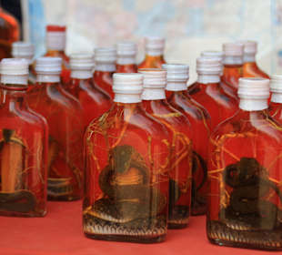 Angeblich potenzsteigernd