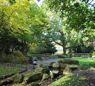 Im Japanischen Garten von "Planten un Blomen"