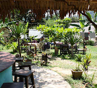 Der Garten im Restaurant