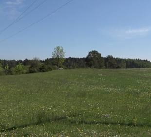 Premiumwanderweg Hochgehschätzt