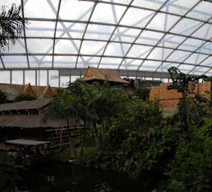 Gondwanaland
