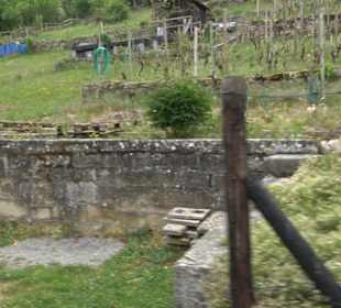 Naturinfopfad Weggental