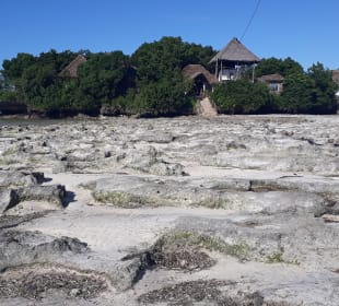 Pongwe Strand