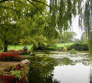 Botanischer Garten