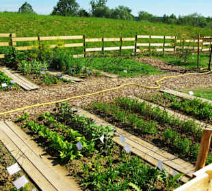 Garten in früheren Zeiten